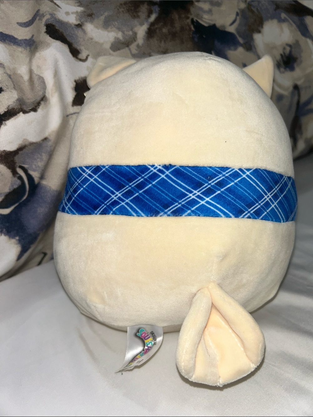Squishmallows Vee  winter owl with blue scarf no tags - Picture 3 of 5
